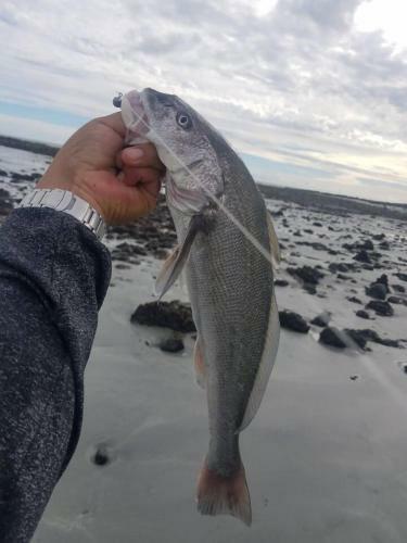 The Black Bass Lodge