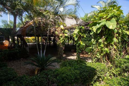 Casa Surya - Holiday Villa With Ocean View