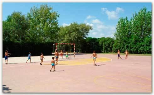 Camping Coll Vert