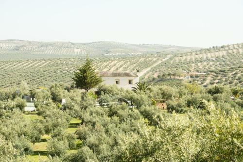 Agroturismo Ecologico El Cortijillo
