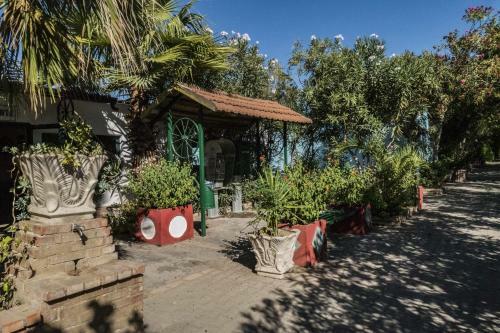 Camping Village Oasi