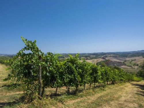 Rural Apartment In Castelfiorentino With Private Terrace