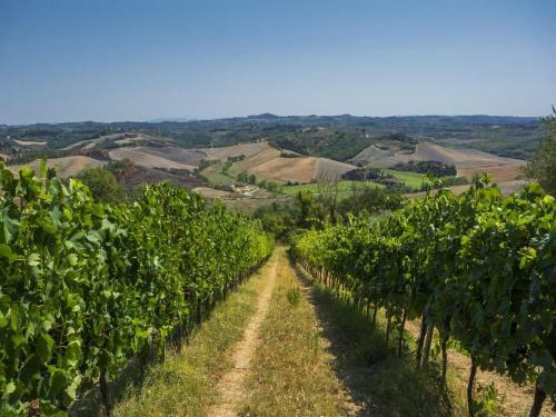 Rural Apartment In Castelfiorentino With Private Terrace