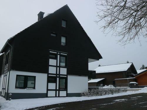 Inviting Apartment In Winterberg Near The Ski Area