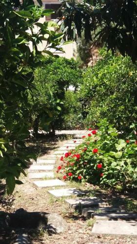 Apartamento Vero Sicily - Sicilian Garden Cottages
