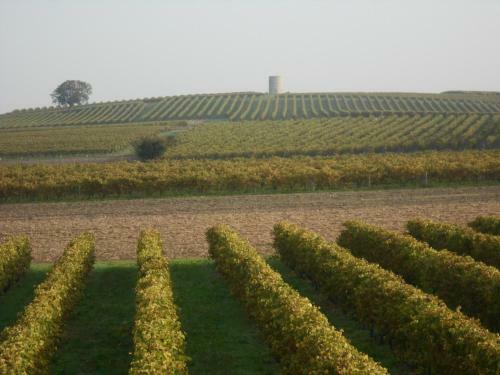 Bed & Breakfast Domaine D' Arcalis