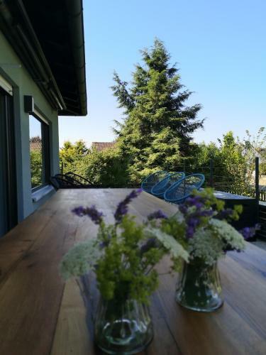 Haus Zur Lachenden Lieselotte