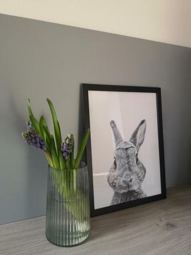 Haus Zur Lachenden Lieselotte