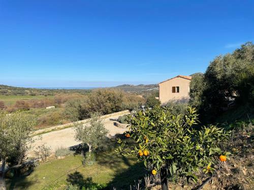 Villa Casa Di L?alivi