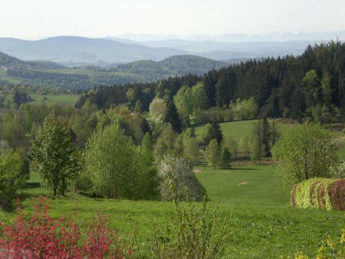 Apartamento Ferienwohnungen Pichler