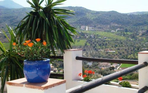 Hotel Rural Cortijo De Salia