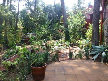 Hotel La Casa Del Rio