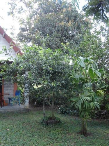 Hotel Cabinas Las Tinajas
