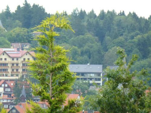 Harzhaus Willkommen