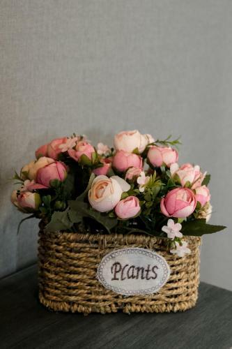 Au Nid De Caroline G�te 4 �toiles