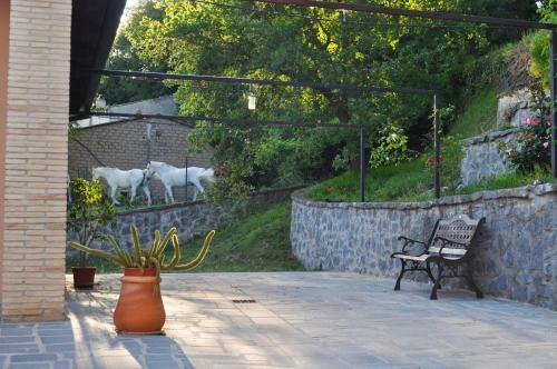 Apartamento Agriturismo Il Noce