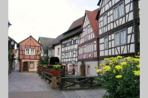 Apartamento Fewo Im Herzen Der Pfalz Mit Sonnenterrasse