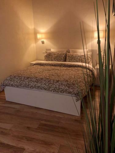 Hostal Alessia Guest House