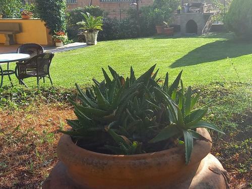 Bed & Breakfast Fili D'erba