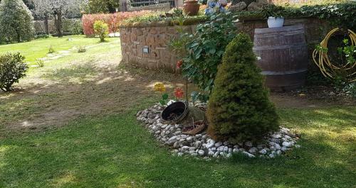 Bed & Breakfast Fili D'erba