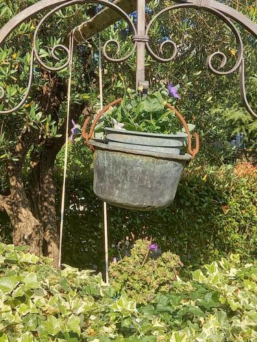 Bed & Breakfast Fili D'erba