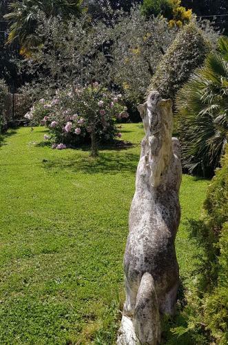 Bed & Breakfast Fili D'erba