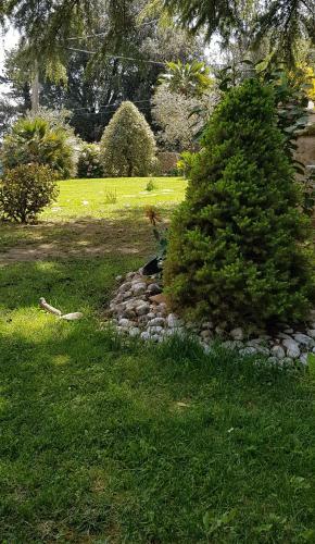 Bed & Breakfast Fili D'erba