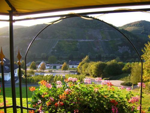 Apartamento Ferienwohnung Moselblick
