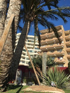 Apartamentos Odisea