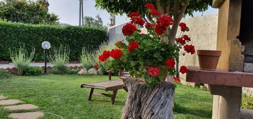 Bed & Breakfast La Rosa Dei Venti
