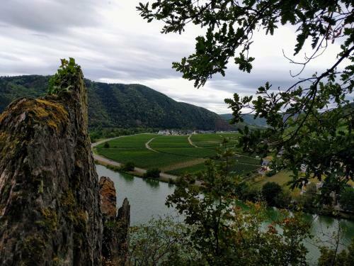 Bed & Breakfast Weingut Pension Hammes-kr�ger