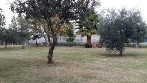 Villa Sole A 50 M Dalla Spiaggia