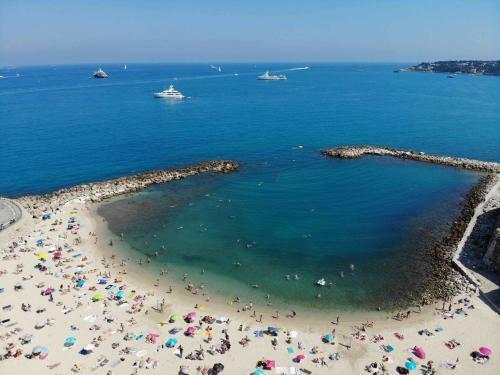 Splendid One-bedroom Apartment -stayinantibes- Picasso 3