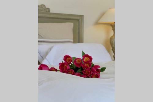 Apartamento Bord De Mer - Ac, Wifi, Chic, Balcony, Sea View