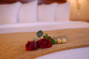 Hotel Best Western Plus Roundhouse Suites