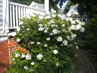 Fleetwood House Bed And Breakfast