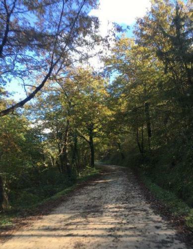 Antica Dimora Del Borgo Luxury Tuscany