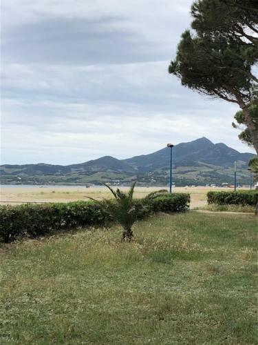 Apartamento Mer Soleil Pinede