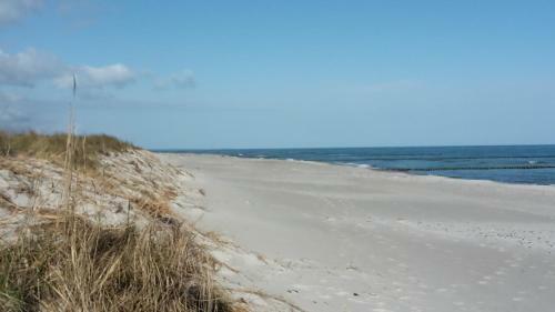 Apartamento Strandapartment Zingst - Direkt Am Meer