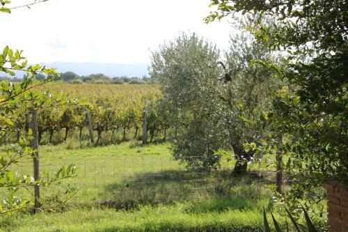Apartamento Podere Campo Alle Serpi