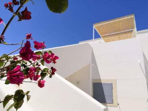 Apartamento Corte San Francesco - Apulian Villa
