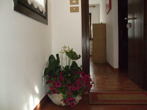 Apartamento Casa Vacanze Boario