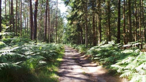 Apartamento Fewo Sonnenblume Achtern Diek In Zingst