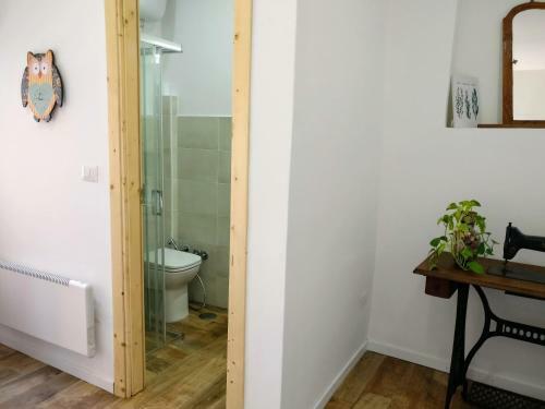 La Chiave Del Gufo - Bojano