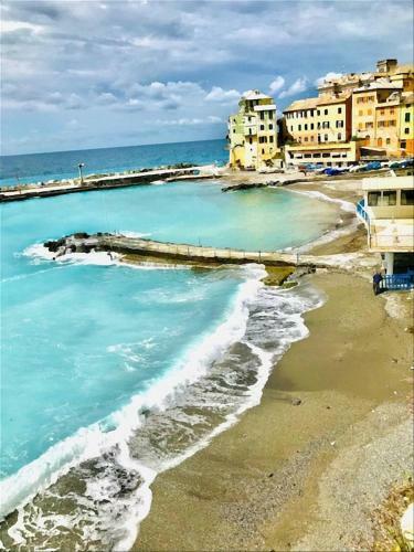 Cav Gli Ulivi Di Bogliasco