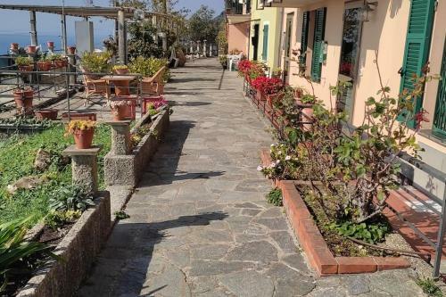 Apartamento In Sci� Costa