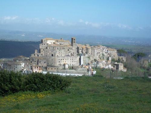 B&B Il Grifo