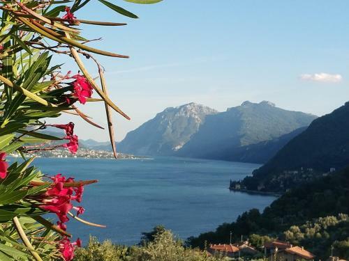 Apartamento Alba E Tramonto Appartamenti Vista Lago