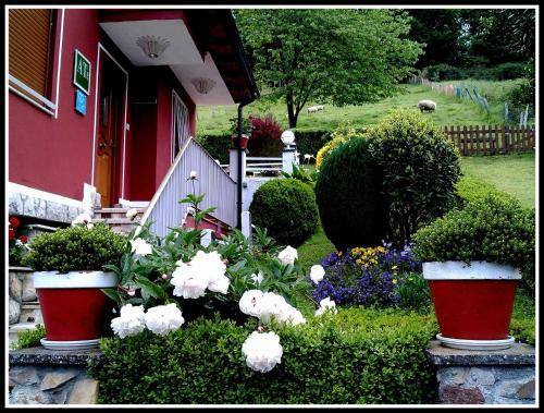Apartamentos Huerta Car�a I Y II