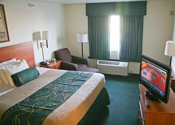 Hotel Oak Tree Inn - Fremont